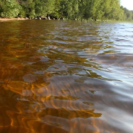 House With Private Rautalampi