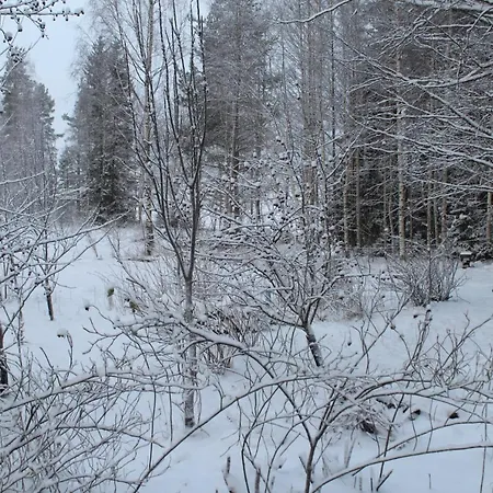 House With Private Lodge