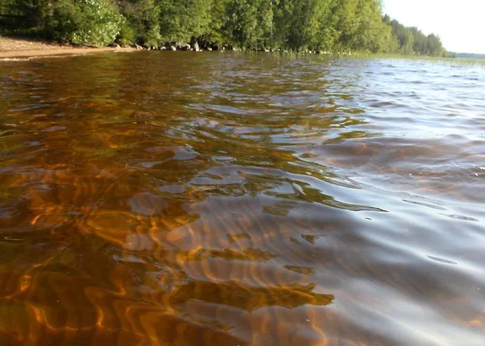 House With Private Rautalampi