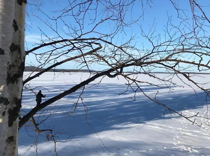 House With Private Rautalampi